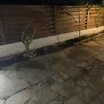 Entire House