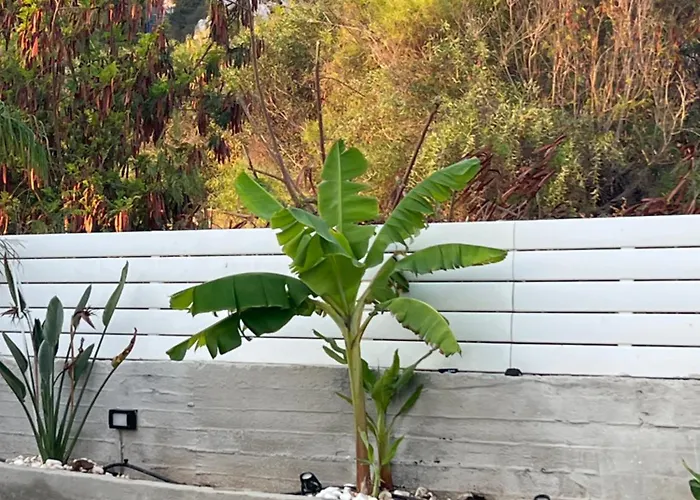 Entire House * プロタラス